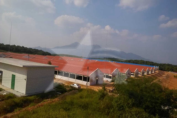 廈門建材市場什么樣的樹脂瓦質量好