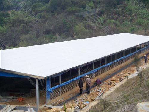 830型pvc采光波浪瓦 鋼結(jié)構(gòu)工程用防腐隔熱梯型復(fù)合瓦 廈門pvc瓦廠家銷售